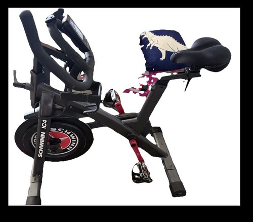 Schwinn ic4 indoor fitness - schwinn,